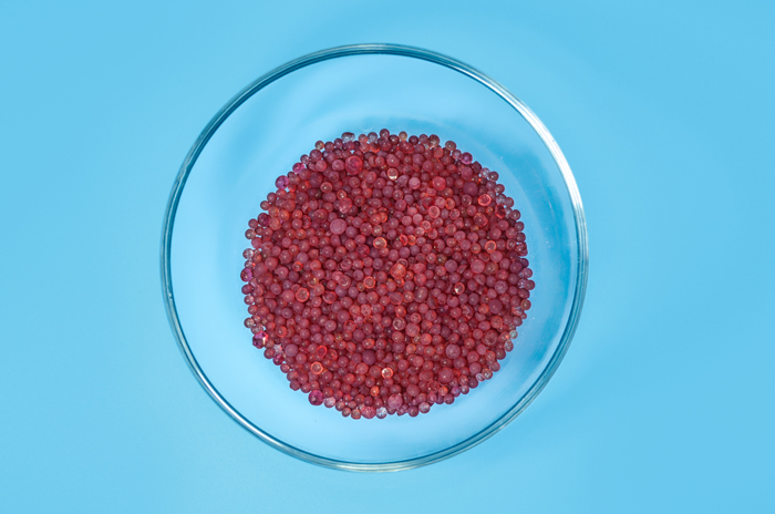 新会员注册送68体验金